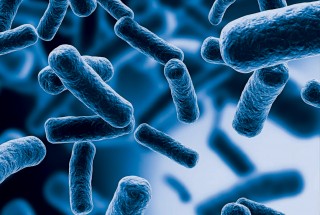7th ICDS International C. difficile Symposium's registration and abstract submission are open!